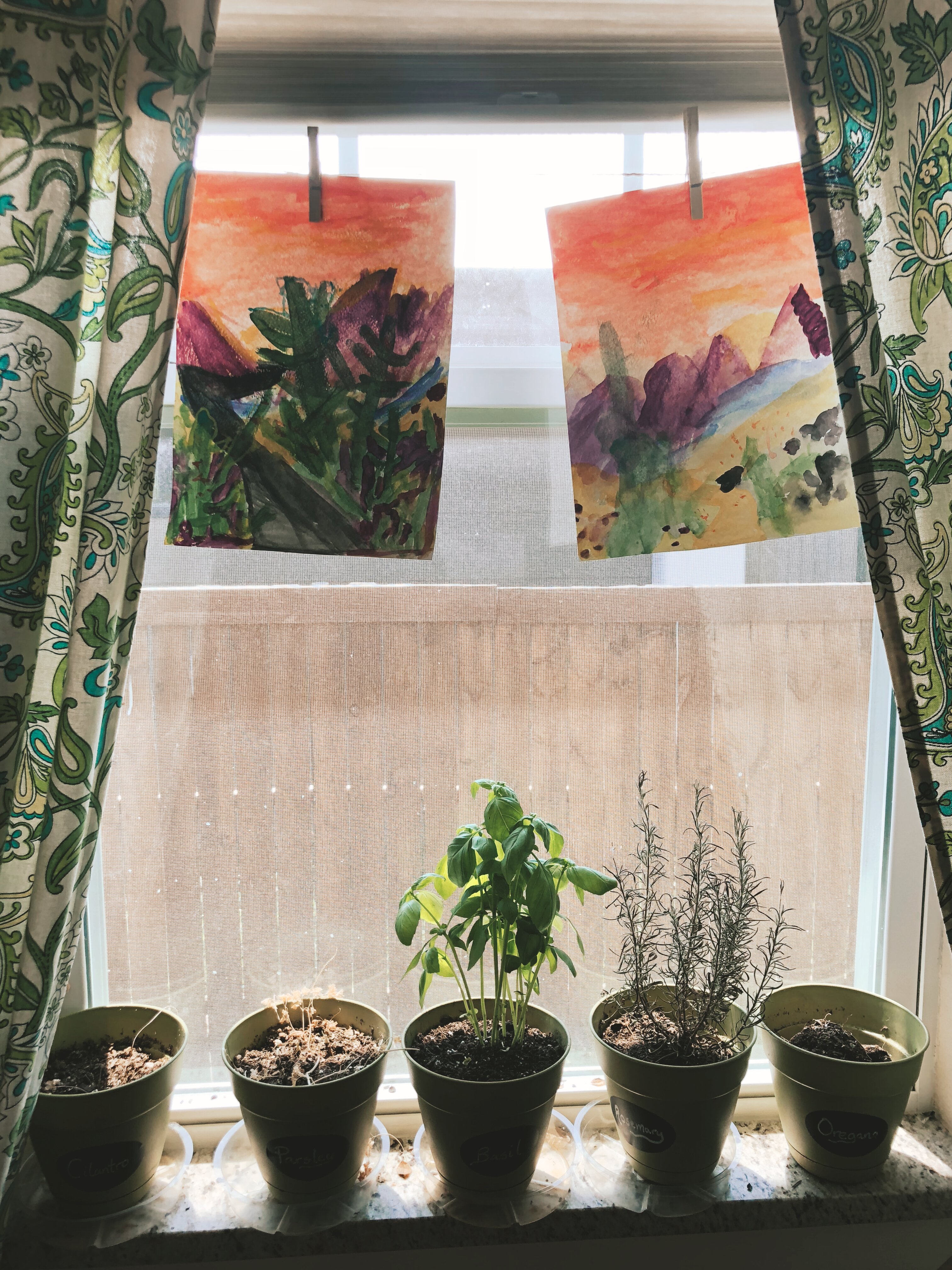 02122E29-0F5D-4115-B1B0-1886EB66C334