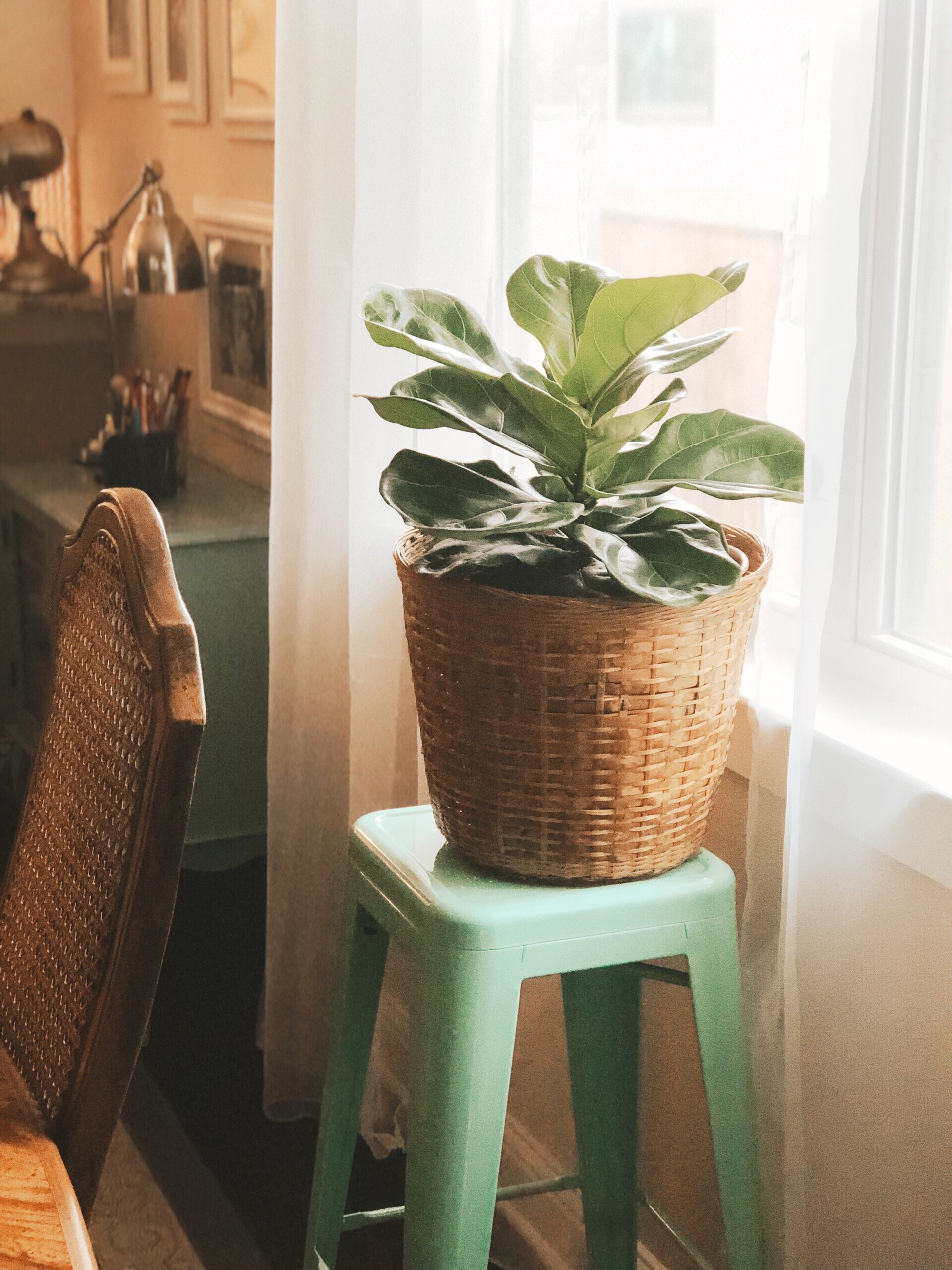 225C66D0-EBAB-4C30-B829-43C7F67173F3