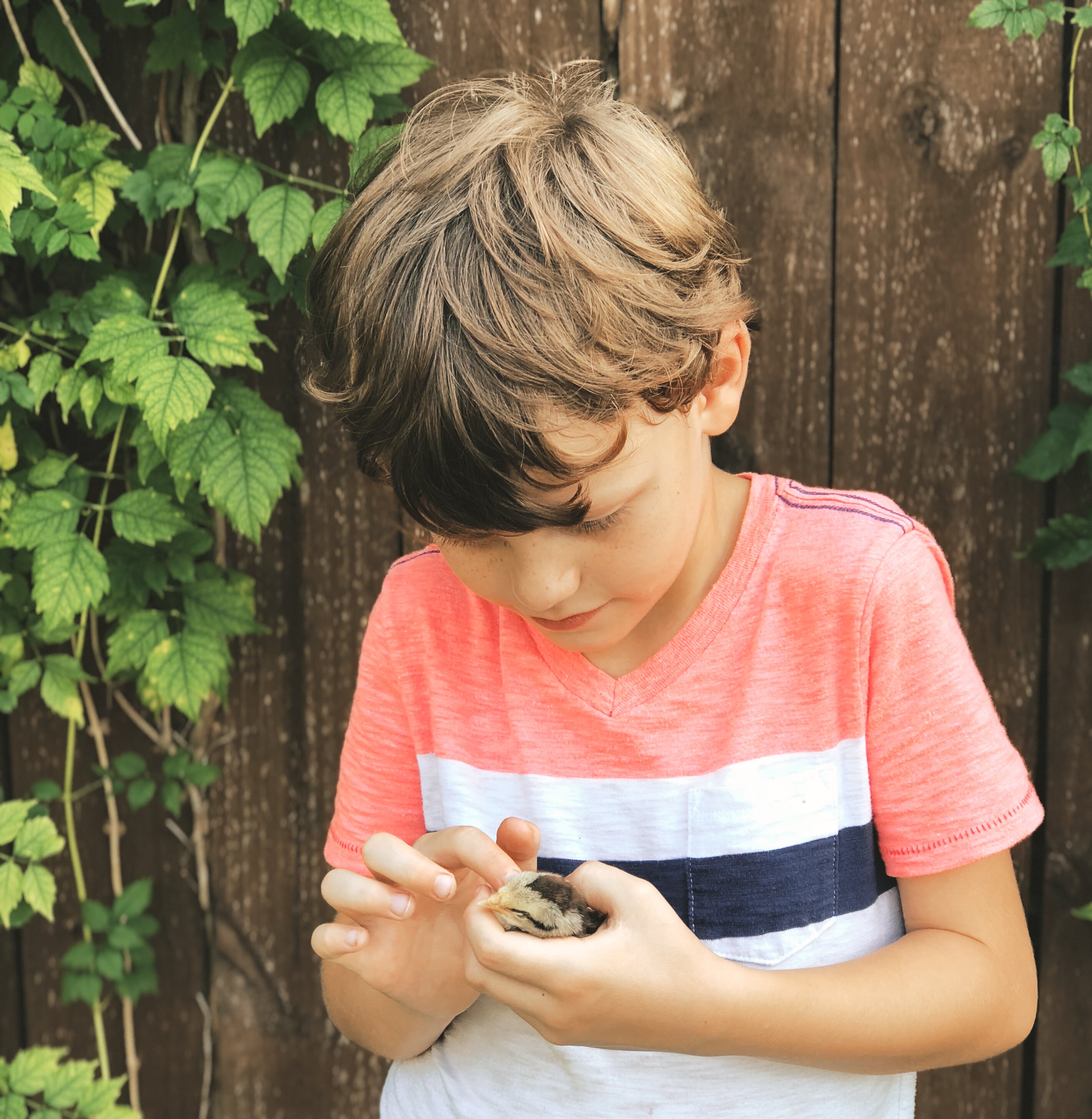 31F9C7DC-41B8-4EAE-99DA-030233B7FB39